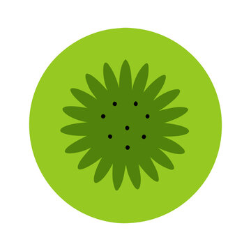 kiwi fruit slice green circle clip art preview