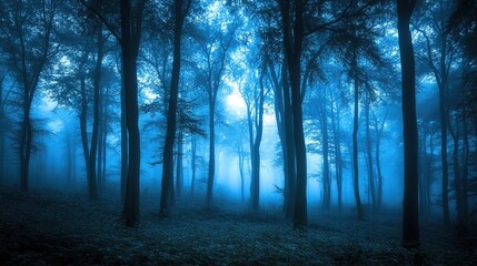 Fototapeta premium Mysterious Foggy Forest in Blue Hues