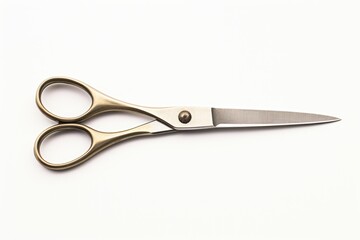 Fototapeta premium Classic Scissors on a White Background