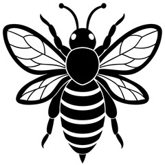 illustration of a bee