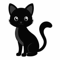 black and white cat
