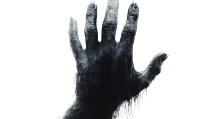 A hand with a black, hairy appearance. The hand is in a position that looks like it is reaching out