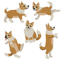 Obraz premium vector drawing cute puppy, sitting little dogs, welsh corgi at white background, hand drawn illustration