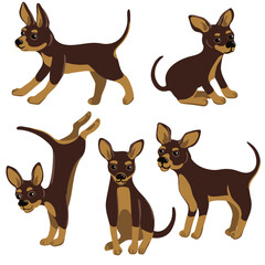 vector drawing cute puppy, sitting little dogs at white background, hand drawn illustration