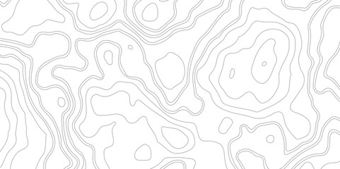 Topography background. Vector banner. Topography background. Vector geographic contour map. Background of the topographic map. Topographic map