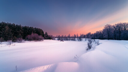 Winter morning in the forest.