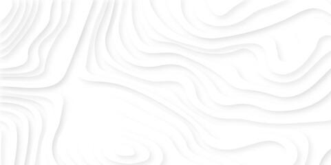 Obraz premium Abstract white 3d origami or cut paper style topographic illustration. White paper cut decoration textured with wavy layers 3d topography relief