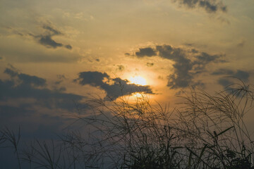 Fototapeta premium grass with sunset background