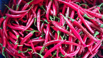 Vibrant Red Chili Peppers Creating a Spicy and Fresh Look