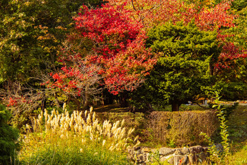 秋の庭園