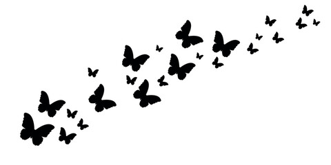 butterfly silhouette background