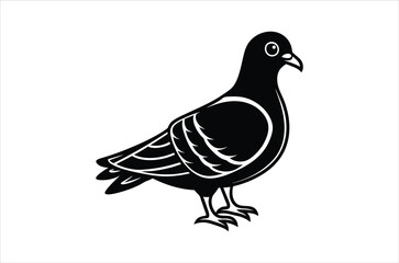 pigeon vector,  icon vector illustration, pigeon silhouette of a pigeon isolated on a white background, eps, png, svg,  vector,