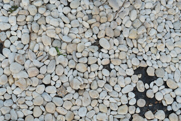 White pebbles texture. Small stones on the ground