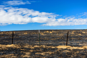 A scorched field from a controlled burn stretches towards the horizon with charred ground and a...