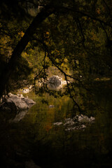 reflection in the water