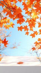 3D Empty podium background with Autumn leaves,Fall welcome, decorative trendy for sale,pedestal,Fall sale advertising banner,thanksgiving,seasonal marketing materials,templateVector illustration.
