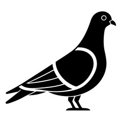 illustration of dove