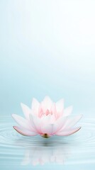 A white flower is floating on the surface of a body of water. The water is calm and still, and the flower is the only thing visible in the image. Concept of tranquility and peace