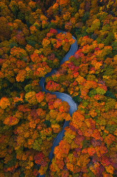 New England Scenic Byway. Smuggler's Notch Stowe Vermont Aerial Drone Birds Eye View Curved Paved Road Through Colorful Fall Foliage Forest.