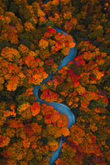 Vibrant Fall Foliage. Scenic Stowe Vermont Forest. Curved Road New England Famous Viewpoint Aerial Drone Birds Eye View Autumn Season Smuggler's Notch