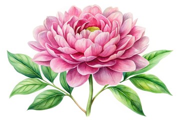 watercolor painting of big pink flower and green leaves from a low angle