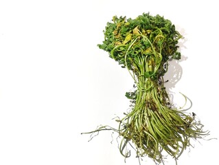 Wilted vegetables in yellowish green color isolated on white background 