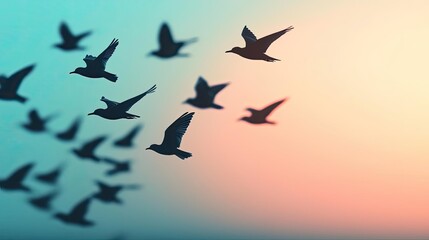 Silhouettes of birds flying against a softly colored sky at dusk.