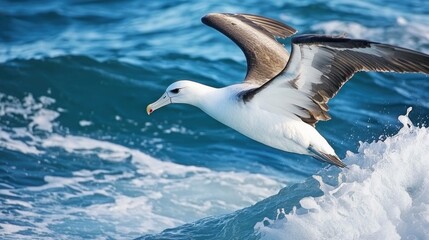 Albatross: An albatross gliding over ocean waves, with its wings stretched wide.