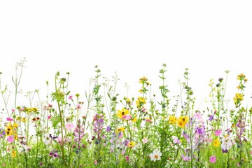 Blooming meadow in a conservation effort