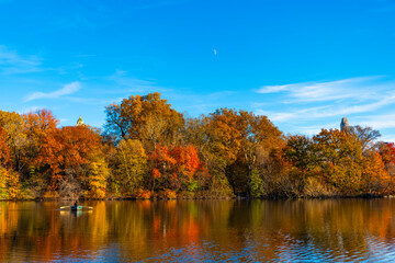 People rowing a boat in Central Park pond. Central Park in autumn with colorful fall trees. Autumn nature. New York City Central Park with boat in lake. Autumn landscape nature. Rowboat rentals