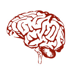 Brain logo design PNG