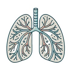 bronchus(bronchi)	気管支
