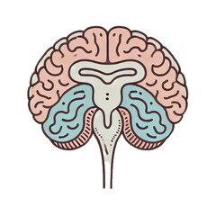 hypothalamus	視床下部