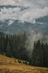 clouds in the mountains