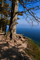Finding a place of power near the sea, standing on the cliff. Vertical frame