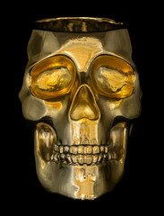 Gold Metallic Skull Pot Planter Isolated on Black Background.