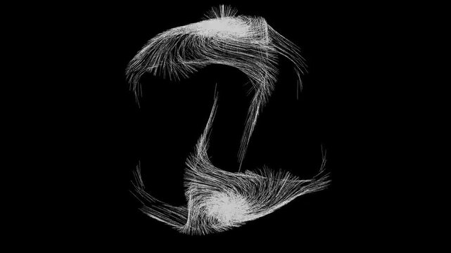 Visual animation of white particles attraction based on Rene Thomas Attractor.