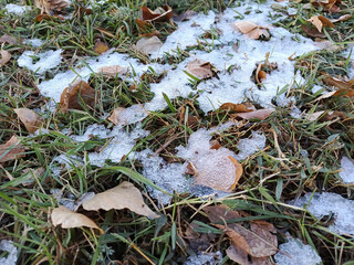 Thin cracked ice lies on dry leaves and grass. Cold snap. Frost. Beginning of winter. Background, space for text. End of autumn.