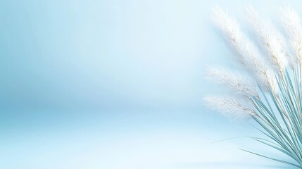 Light blue background with a soft, airy feel, perfect for creating a tranquil and serene design aesthetic.