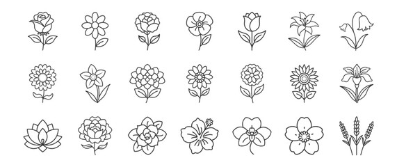 Flowers line icon set. Vector pictograms of rose, daisy, tulip, sunflower, various flower species - lily, orchid, hydrangea, lavender, thin linear illustration.