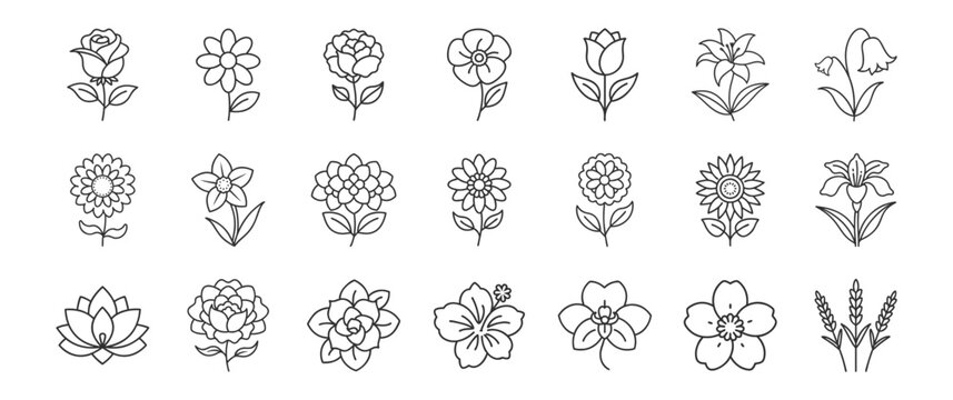 Flowers line icon set. Vector pictograms of rose, daisy, tulip, sunflower, various flower species - lily, orchid, hydrangea, lavender, thin linear illustration.
