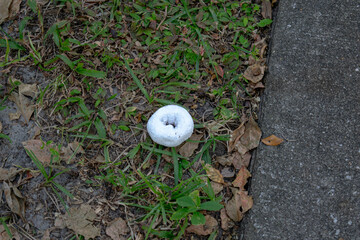 Donut in the grass