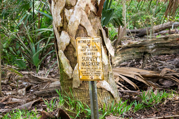sign in the forest