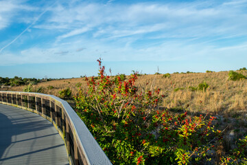 Boardwalk to the sea