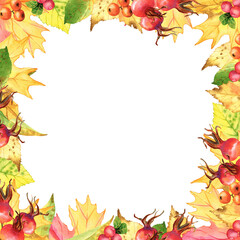 Autumn watercolor png illustration: elegant frame, square floral composition. Hand drawn isolated object on a transparent  background.  Element for design pattern, invitation, textile, card, scrapbook