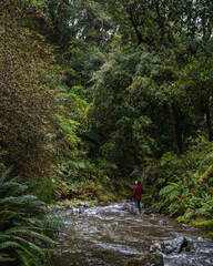 Man looks up from a river out hiking