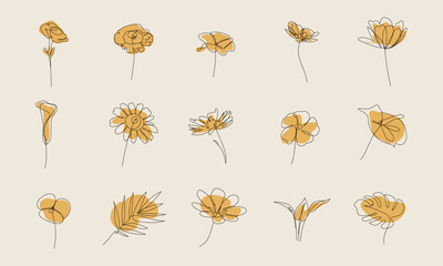 Abstract Floral Line Art