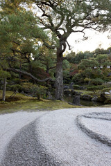 Tranquil Gardens Surrounding Kyoto's Temples