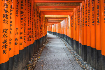 Torii Gates Framing Kyoto's Tranquil Temples