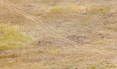 A dry, dusty field with a dirt road running through it